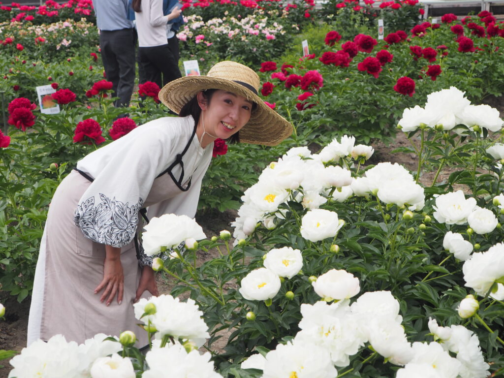 庭に植えたいシャクヤク図鑑:足利メゾン ド ピオニー経営者の写真です。