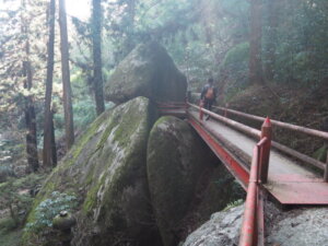 名草厳島神社：桟橋を渡る人の写真です。