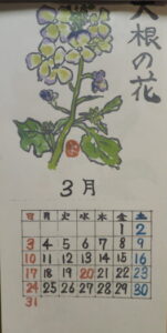 令和3年「絵手紙カレンダー」：3月の写真です。