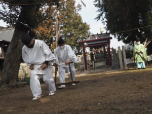 御厨神社御田植：マンガで代掻きする写真です。