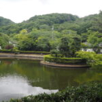 長林寺の池の写真です。
