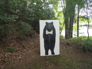 池のほとりに現れた熊の作品の写真です。