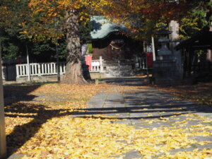 秋の八雲神社境内の写真です。