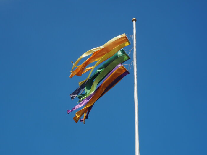 足利織姫神社：七色の吹き流しの写真です。