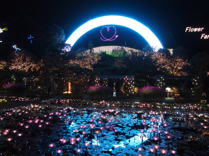 あしかがフラワーパーク「虹」の写真です。