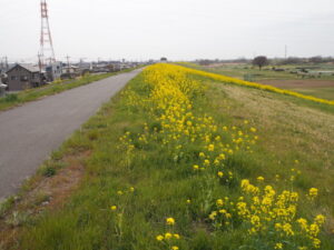 福寿橋下流側の風景写真です。