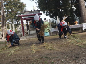 御厨神社御田植:稲刈りの写真です。