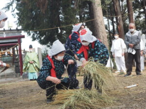 御厨神社御田植：収穫した稲を束ねる写真です。