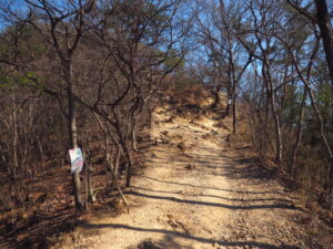 両崖山に向かう尾根道の写真です。