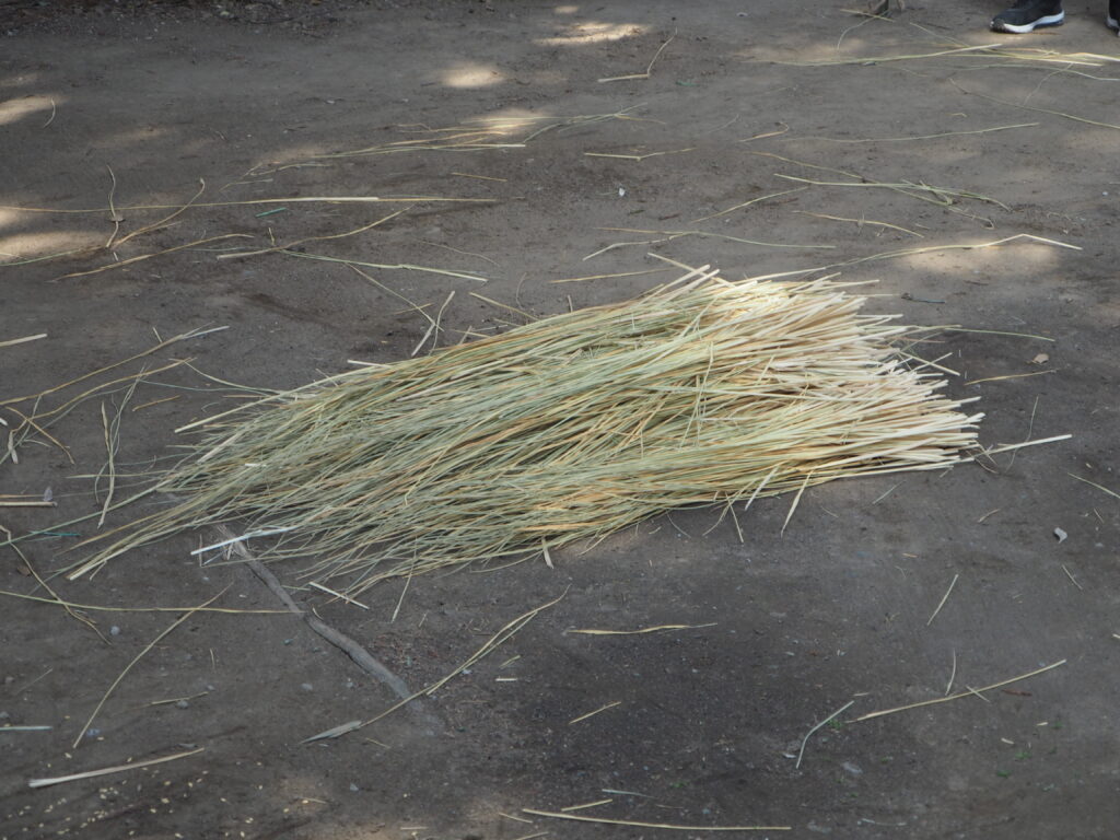 御厨神社：御田植え祭の写真です。