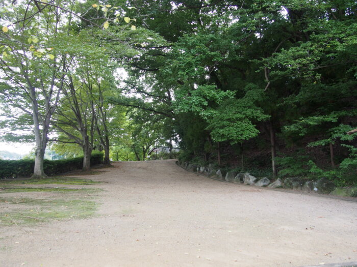 本館①に向かう道の写真です。