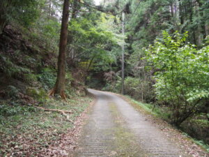 浄因寺入り口駐車場までの山道の写真です。