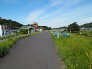 渡良瀬橋へ向かう道の写真です。