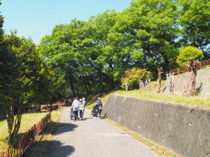 展望台駐車場から遊園地西門に向かう道の写真です。