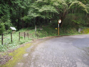 自動車道の写真です。