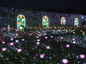 あしかがフラワーパーク「光のバラの庭」の写真です。