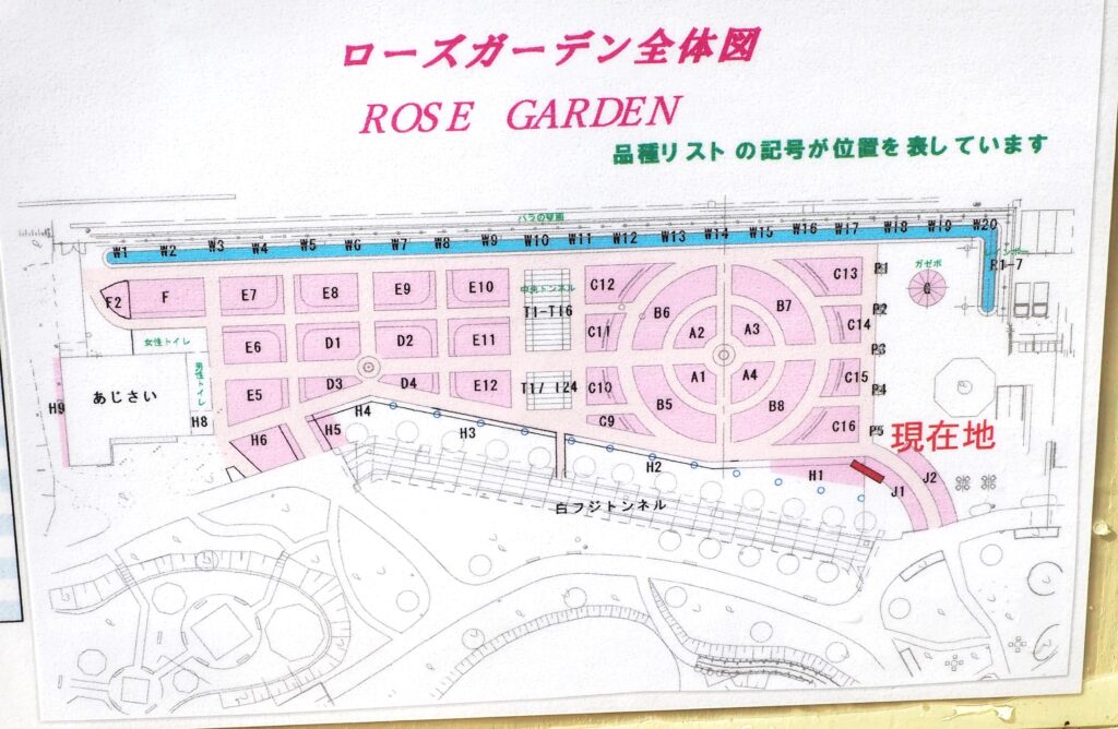 あしかがフラワーパーク:ローズガーデン全体図の写真です。