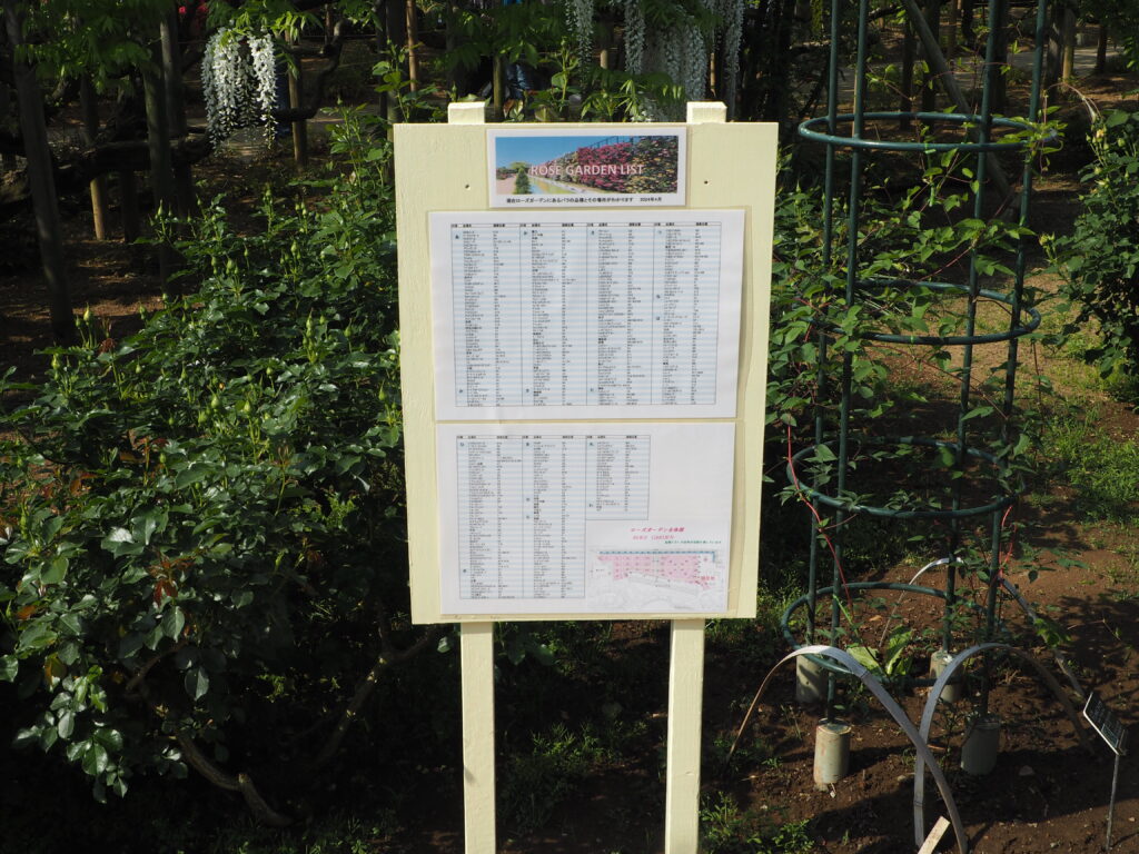 あしかがフラワーパーク:ローズガーデン全体図の写真です。