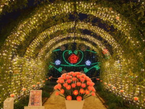 あしかがフラワーパーク「光るバラのトンネル」の写真です。