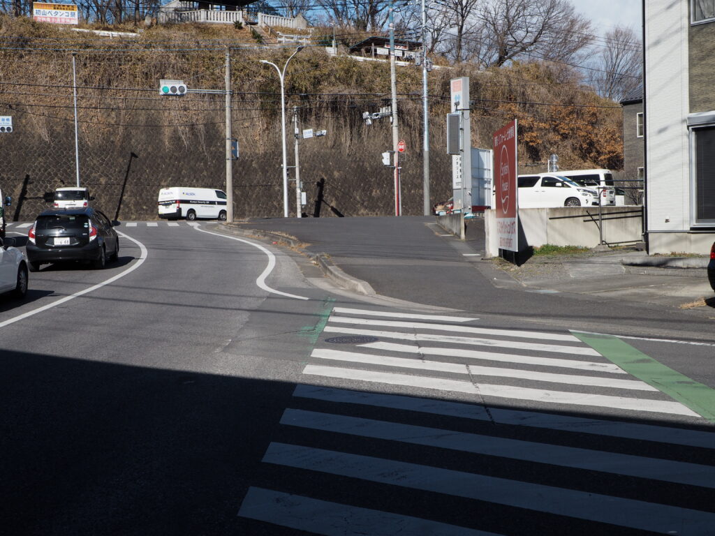 東武伊勢崎線の高架をくぐってある横断歩道の写真です。