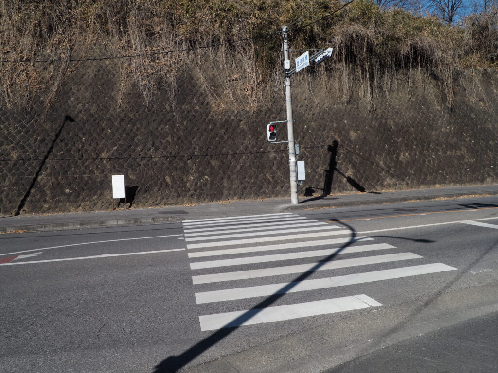 渡良瀬橋南交差点の横断歩道の写真です。