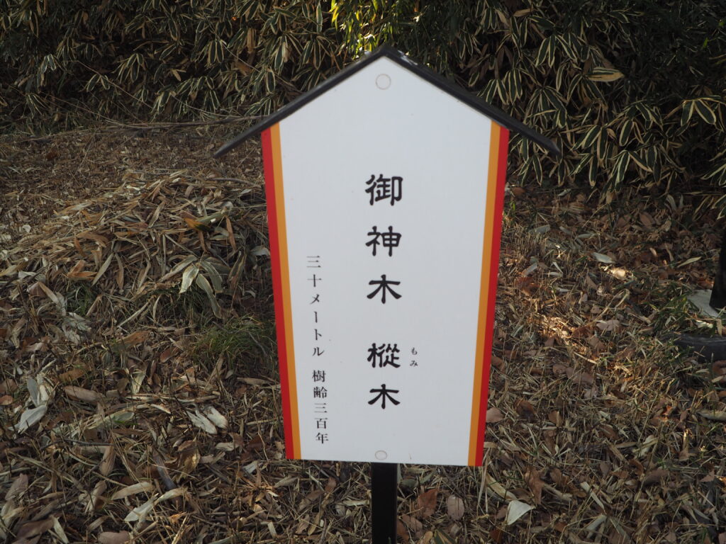 三崎稲荷神社：御神木の名札の写真です。