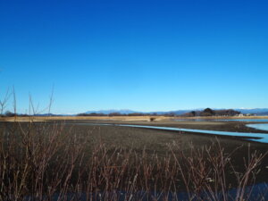 多々良沼から見る風景写真です。