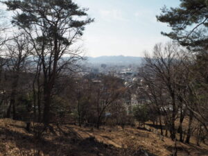 桐生が岡公園：展望台から見る景色写真です。