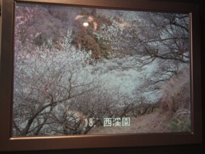 「西渓園」(せいぇいえん)の写真です。
