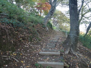 秋の浅間山の写真です。