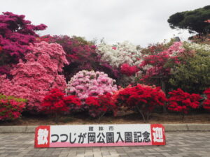 つつじが岡公園：旧公園入り口の写真です。