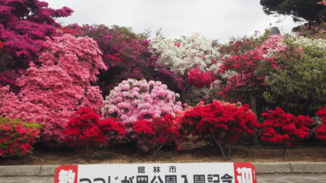 つつじが岡公園：旧公園入り口の写真です。