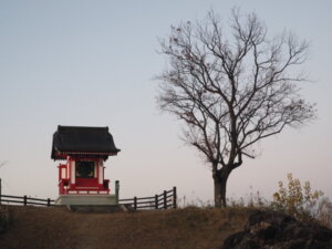 社殿とシンボリックな木の写真です。