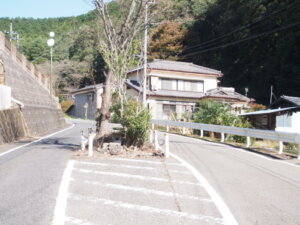 道路の中央に鎮座する祠の写真です。