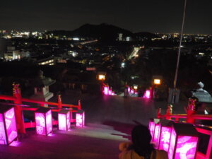 織姫神社の参道から望むまちなかの写真です。