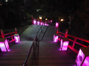 織姫神社参道のライトアップの写真です。