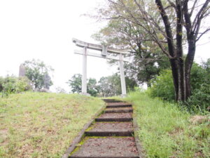 社殿前の石の鳥居の写真です。