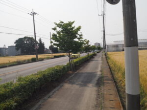 県道沿いの歩道の写真です。
