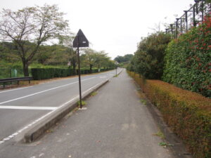 フラワーパーク沿いの歩道の写真です。