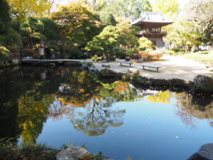 鐘楼の庭園にある心字池の写真です。