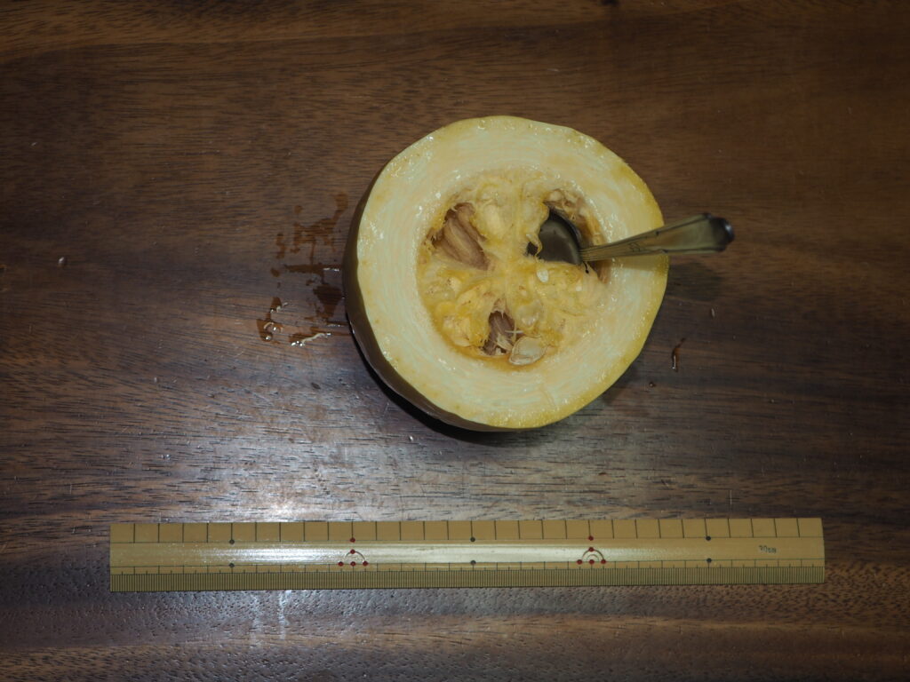 そうめんカボチャの種をスプーンで取り除いている写真です。