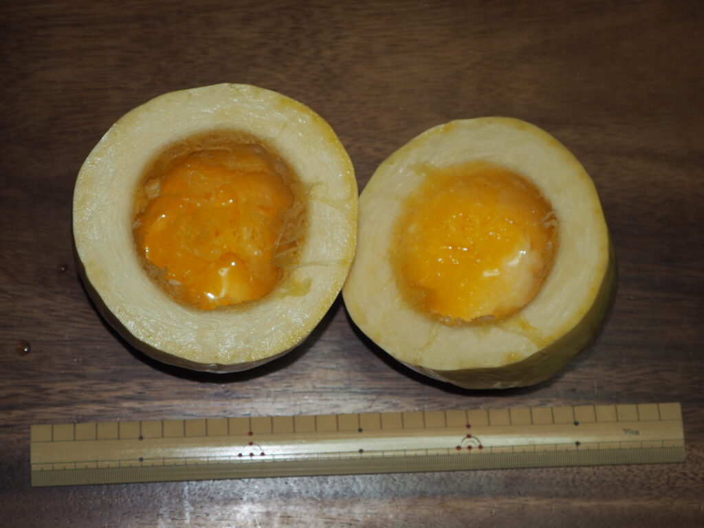 そうめんカボチャの種を取り除いた写真です。