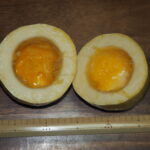 そうめんカボチャの種を取り除いた写真です。