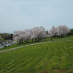 群馬県太田市・北部運動公園（八王子山公園）の写真です。