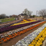 群馬県太田市・北部運動公園（八王子山公園）の写真です。