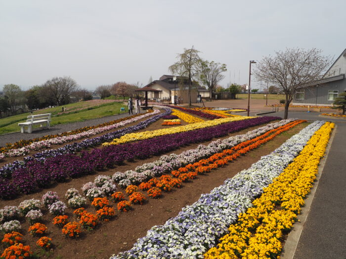 群馬県太田市・北部運動公園（八王子山公園）の写真です。