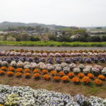 群馬県太田市・北部運動公園（八王子山公園）の写真です。