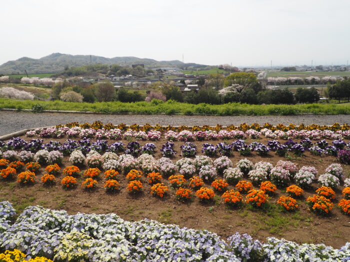 群馬県太田市・北部運動公園（八王子山公園）の写真です。