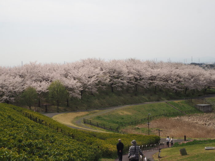 群馬県太田市・北部運動公園（八王子山公園）の写真です。