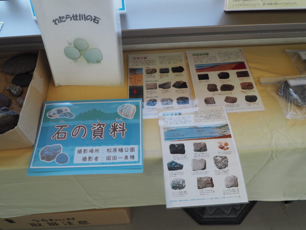 せせら：石の資料の写真です。